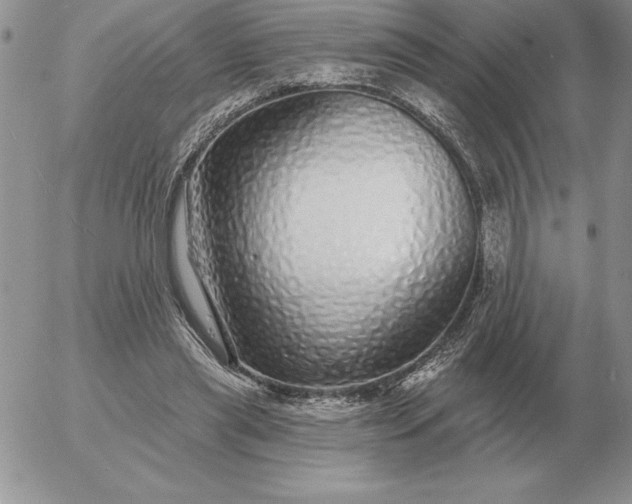 X0000052980445200507221332