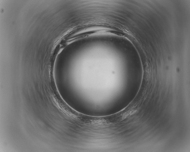 X0000052980446200507221332