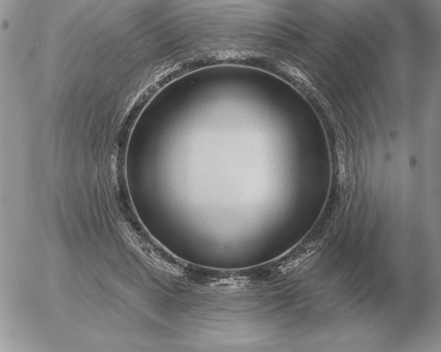 X0000052980447200507221332