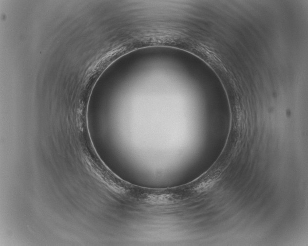 X0000052980450200507221332