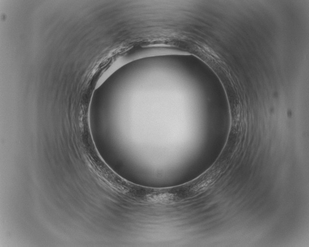 X0000052980452200507221332