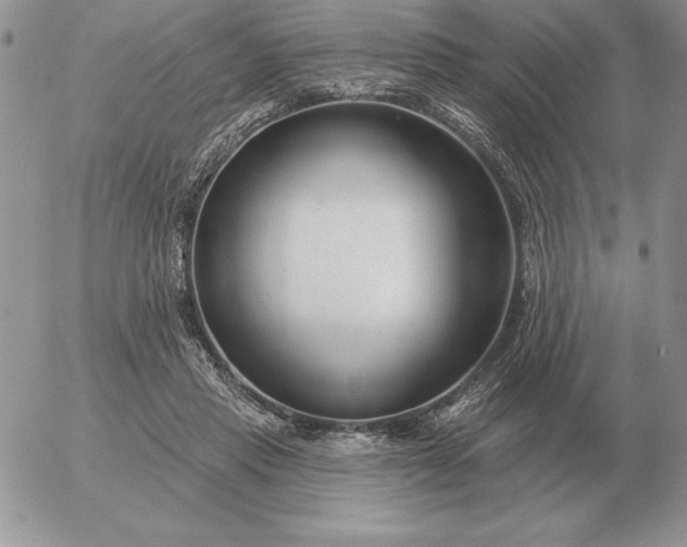 X0000052980453200507221332