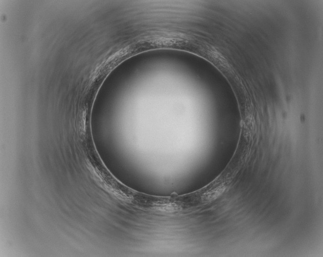 X0000052980454200507221332