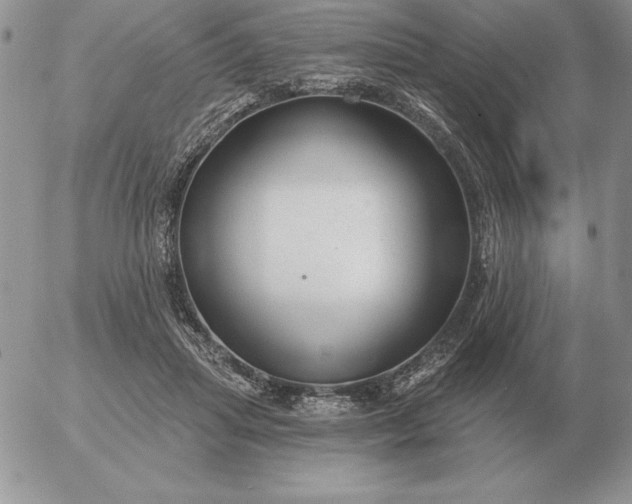 X0000052980455200507221332