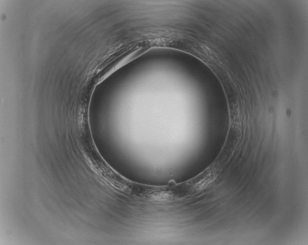 X0000052980456200507221332