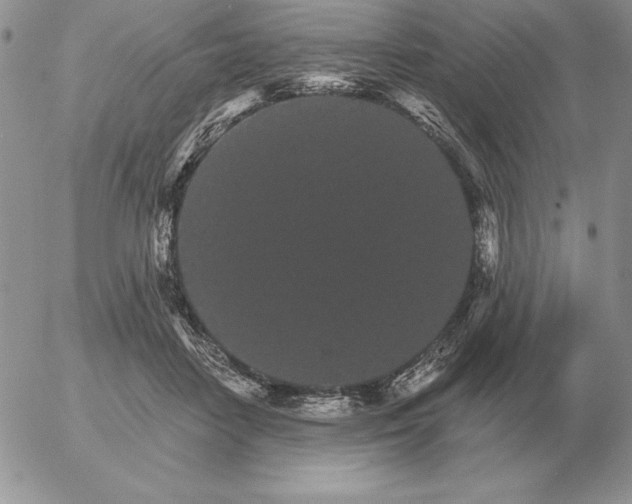 X0000052980458200507221332