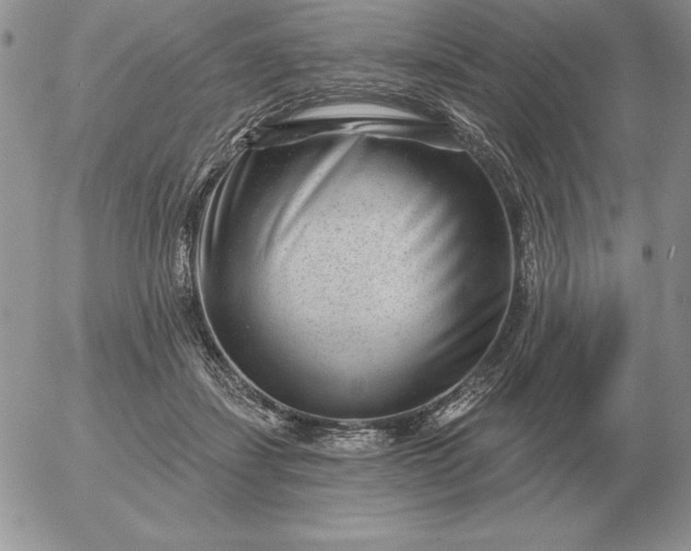 X0000052980459200507221332