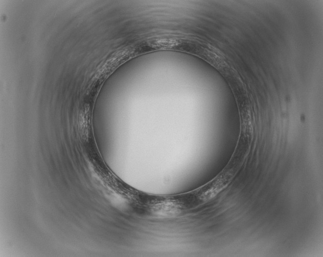 X0000052980460200507221332