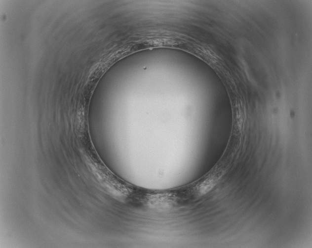 X0000052980461200507221332