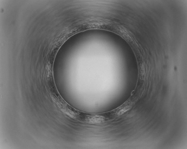 X0000052980463200507221332