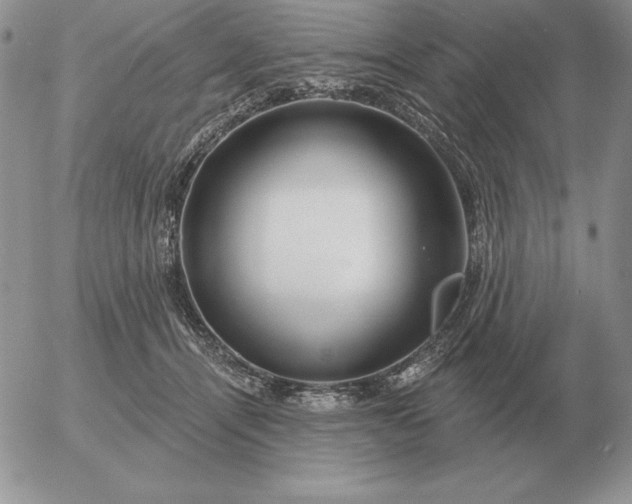 X0000052980464200507221332