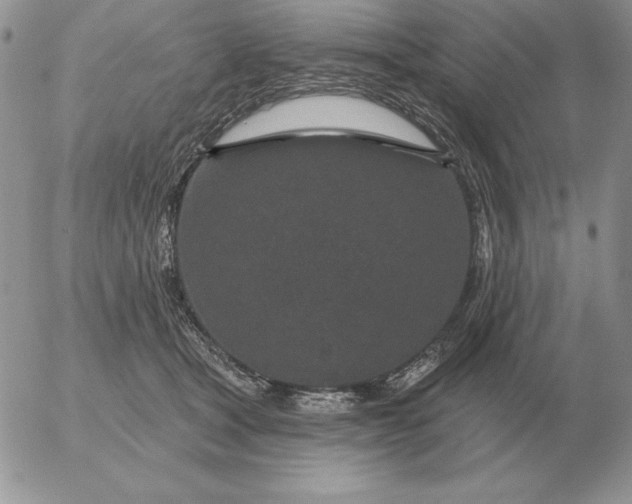 X0000052980465200507221332