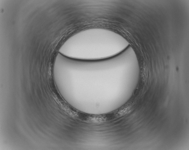 X0000052980466200507221332