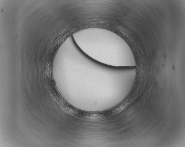 X0000052980467200507221332