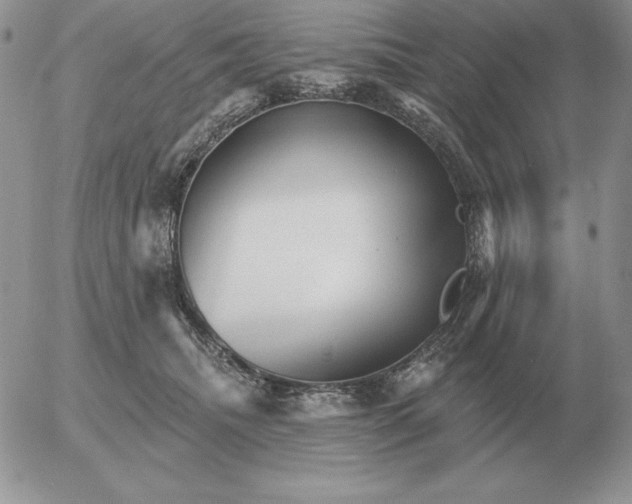 X0000052980468200507221332