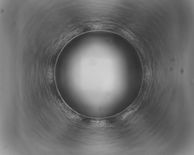 X0000052980469200507221332