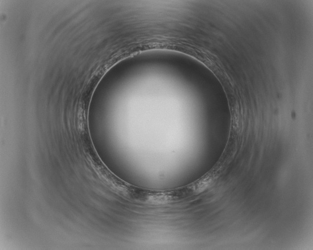 X0000052980470200507221332