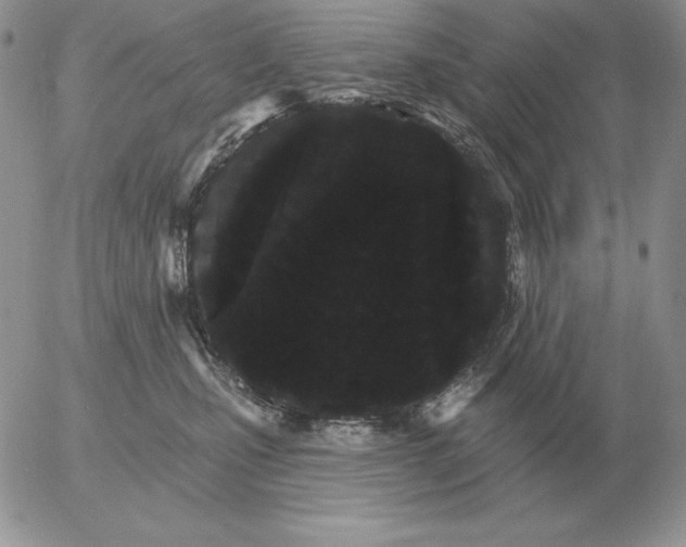 X0000052980471200507221332