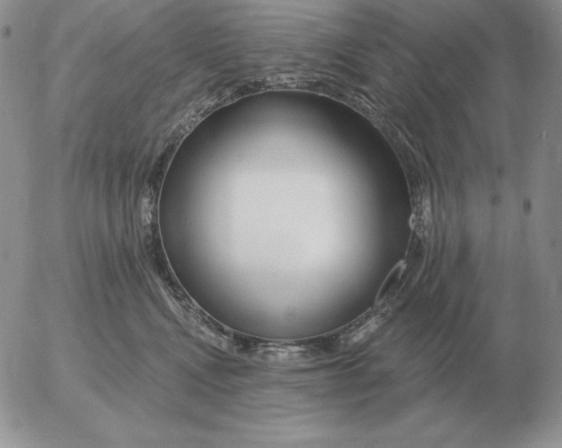 X0000052980472200507221332