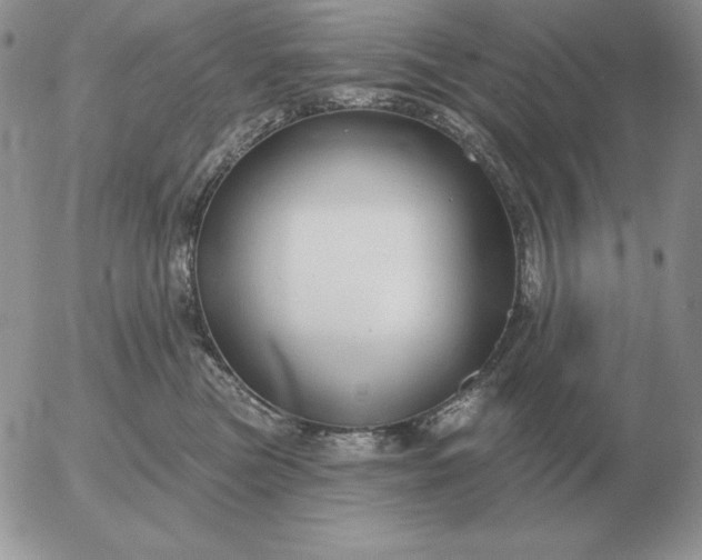 X0000052980473200507221332