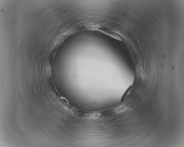 X0000052980474200507221332