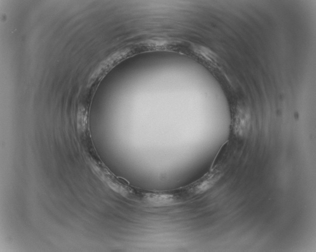 X0000052980476200507221332