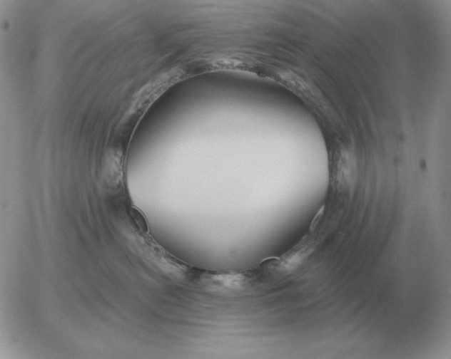 X0000052980478200507221332