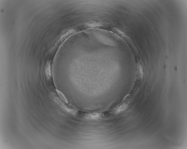 X0000052980479200507221332