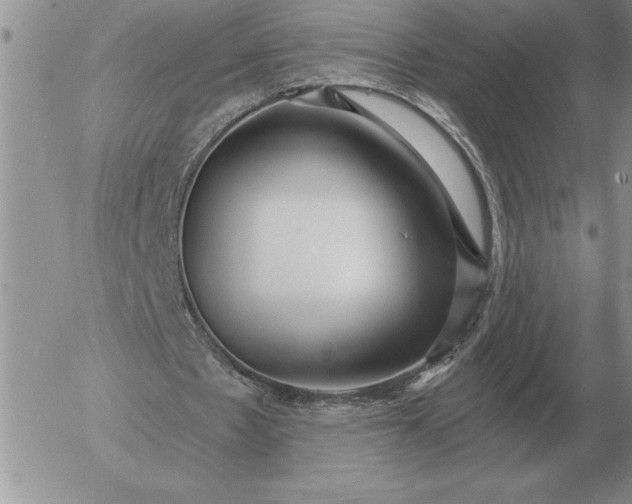 X0000052980481200507221331