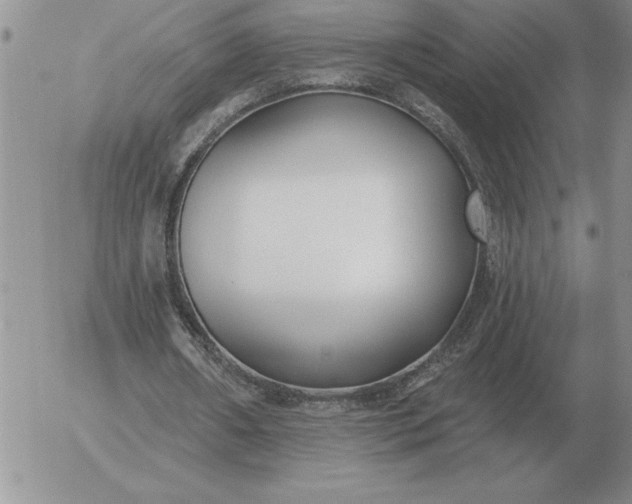 X0000052980482200507221331