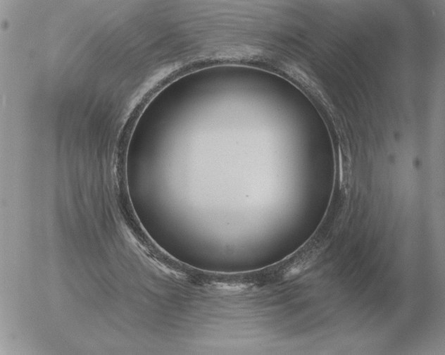 X0000052980483200507221331