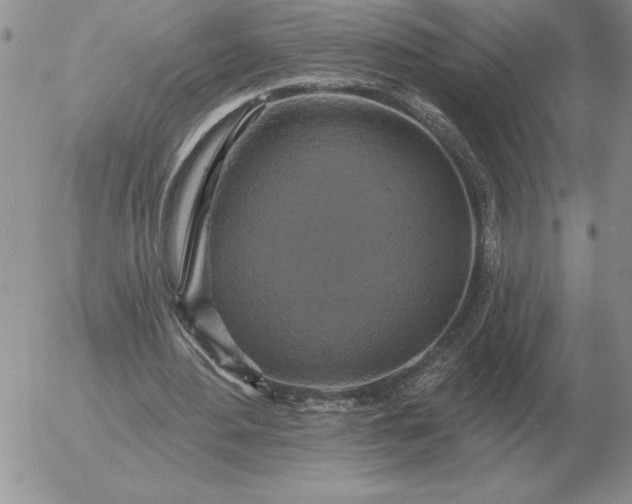 X0000052980484200507221331