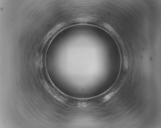 X0000052980486200507221331