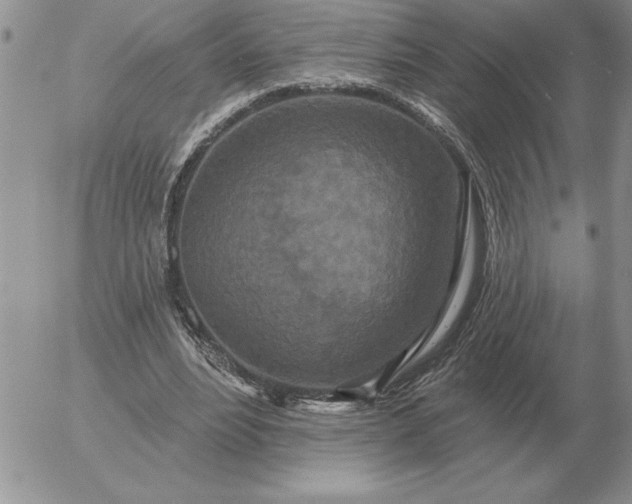 X0000052980488200507221331