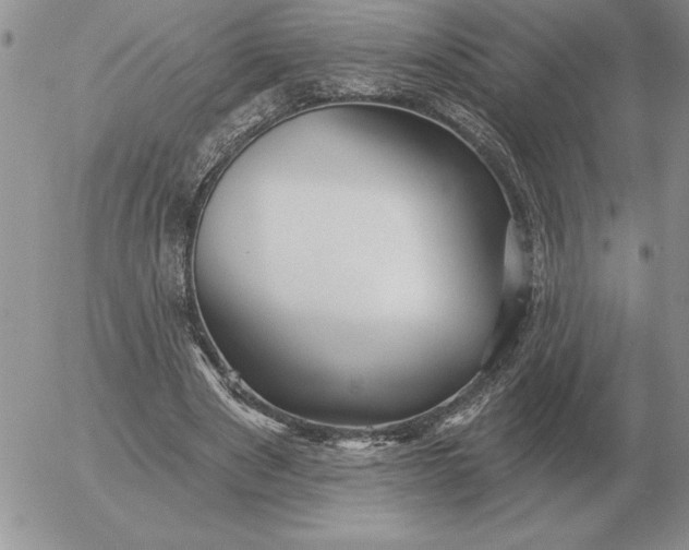 X0000052980489200507221331