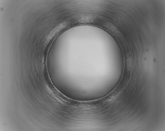 X0000052980490200507221331