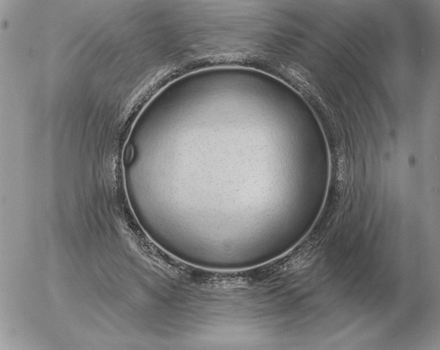 X0000052980491200507221331