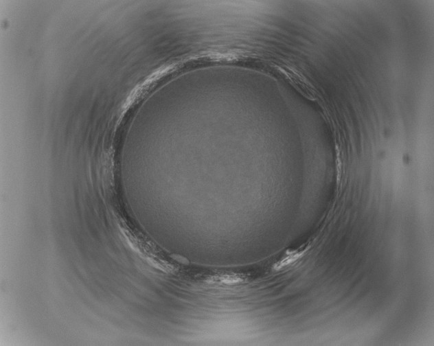 X0000052980492200507221331