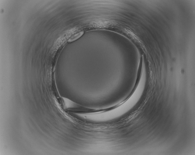 X0000052980493200507221331