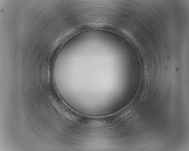 X0000052980494200507221331