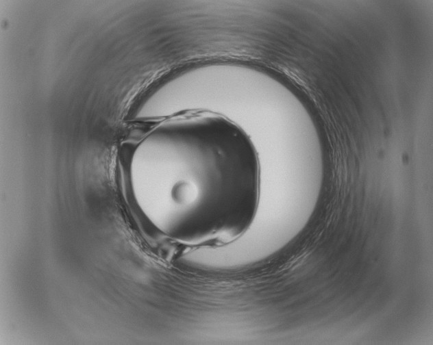 X0000052980495200507221331