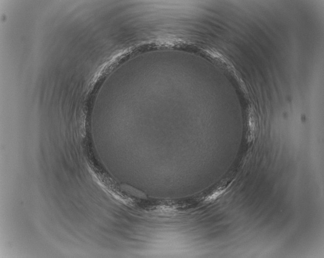 X0000052980496200507221331