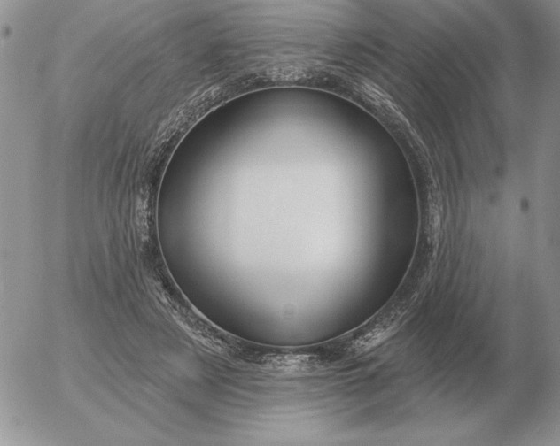 X0000052980497200507221331