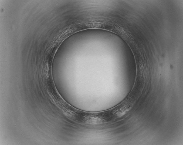 X0000052980498200507221331