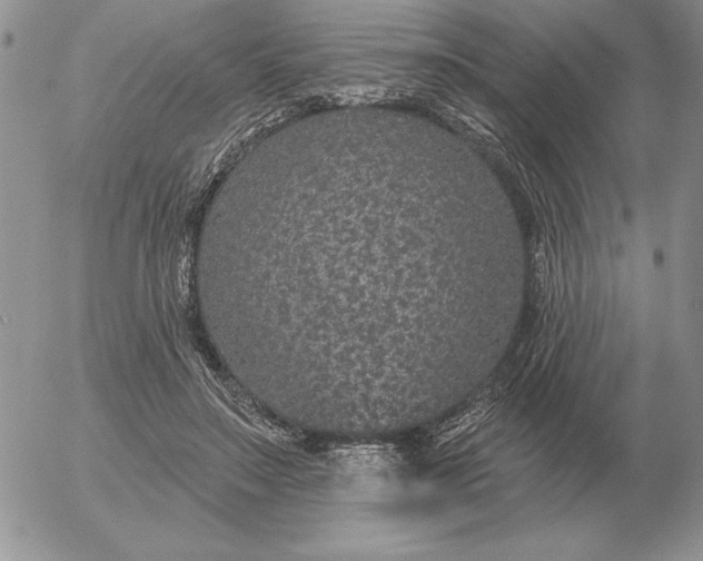 X0000052980499200507221331