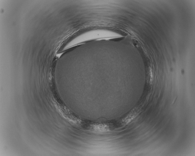 X0000052980500200507221331