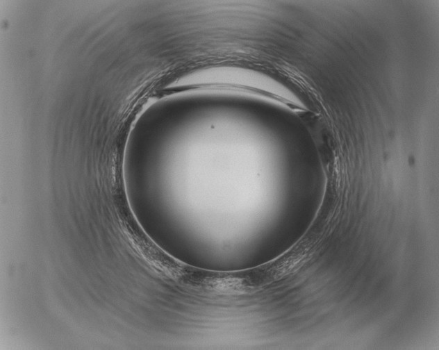 X0000052980501200507221331