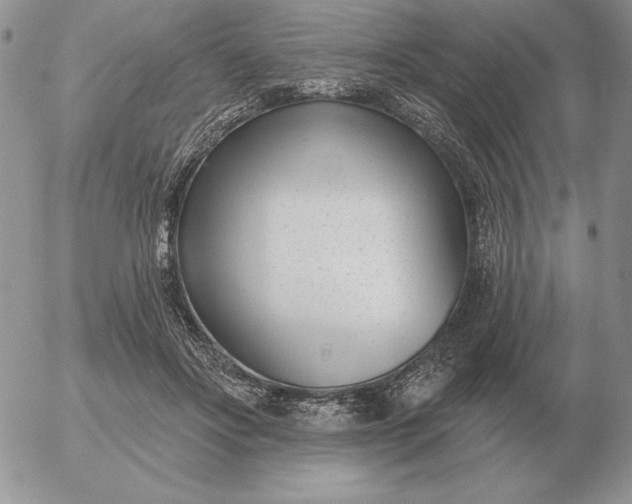 X0000052980502200507221331