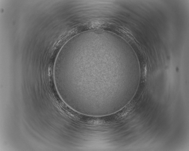 X0000052980503200507221331