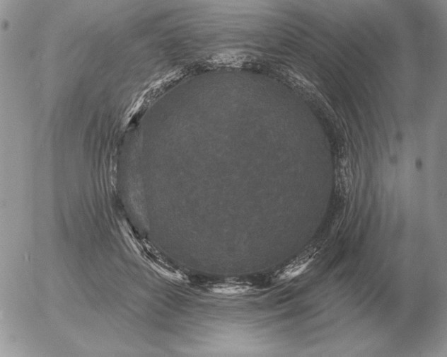 X0000052980504200507221331